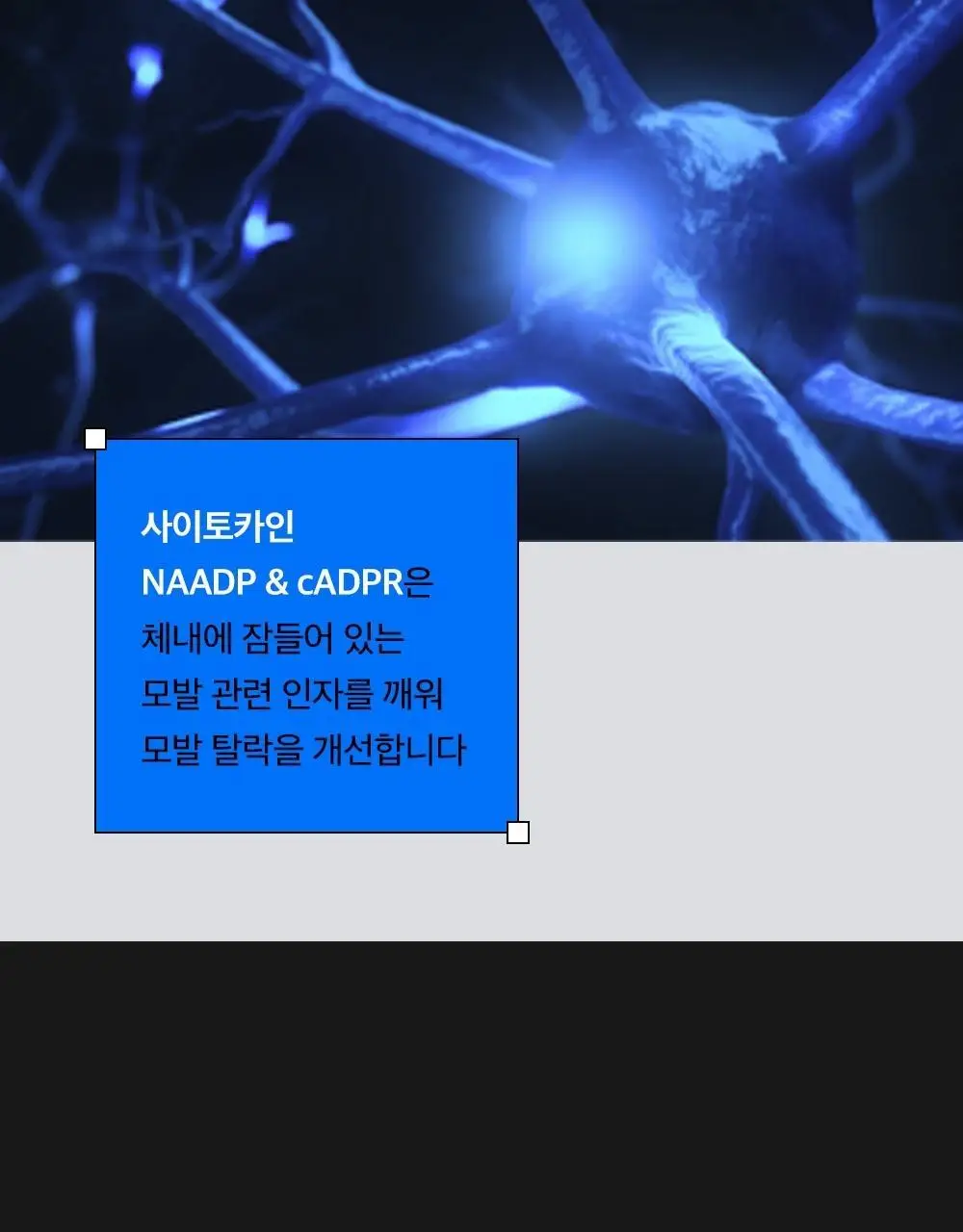 [탈모증상개선] 리필드 사이토카인 한/중/미 단독 특허 탈모샴푸 380ml 3종 택 1 상세페이지 14